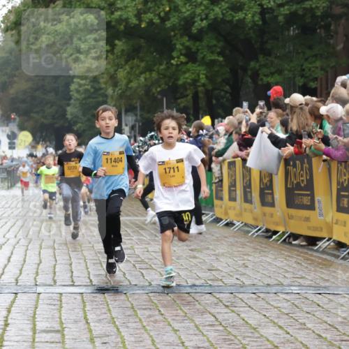 13.09.2026 - Kiel Lauf Yannick Fuchs http://msf.ph/oto/10270874 13.09.2026 08:33:28 Ziel 6073, 6484, 6698, 7959, 10988, 1711, 3220, 8602, 8654, 8840, 11404 meine-sportfotos.de