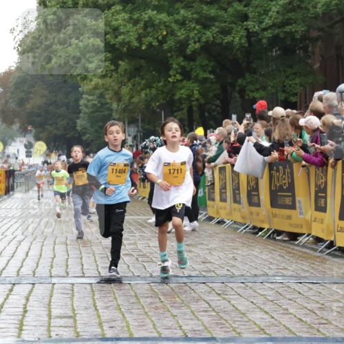 13.09.2026 - Kiel Lauf Yannick Fuchs http://msf.ph/oto/10270877 13.09.2026 08:33:28 Ziel 6073, 6484, 6698, 7959, 10988, 1711, 3220, 8602, 8654, 8840, 11404 meine-sportfotos.de