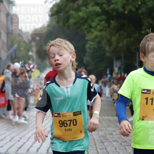 13.09.2026 - Kiel Lauf Yannick Fuchs http://msf.ph/oto/10270978 13.09.2026 08:33:39 Ziel 1711, 3220, 6073, 6484, 6698, 7959, 11404, 6073, 6484, 10988, 743, 2477, 4080, 6351, 8602, 8654, 8840, 9418, 9670, 11008, 11226, 11664 meine-sportfotos.de