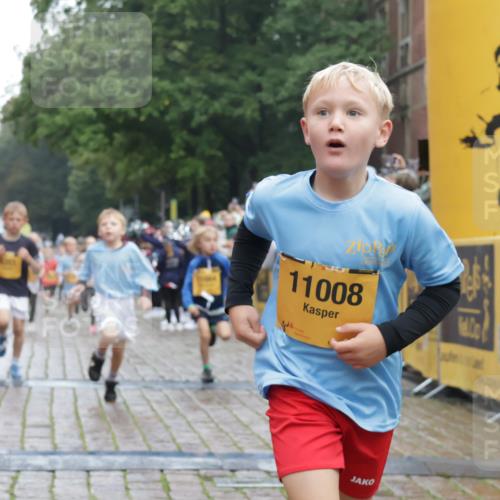 13.09.2026 - Kiel Lauf Yannick Fuchs http://msf.ph/oto/10270999 13.09.2026 08:33:45 Ziel 743, 1711, 3220, 8602, 8654, 8840, 9670, 11226, 11404, 6073, 6484, 6698, 7959, 10988, 1058, 1295, 1924, 2477, 2851, 4080, 4146, 4839, 6351, 7041, 9418, 10172, 11008, 11664 meine-sportfotos.de