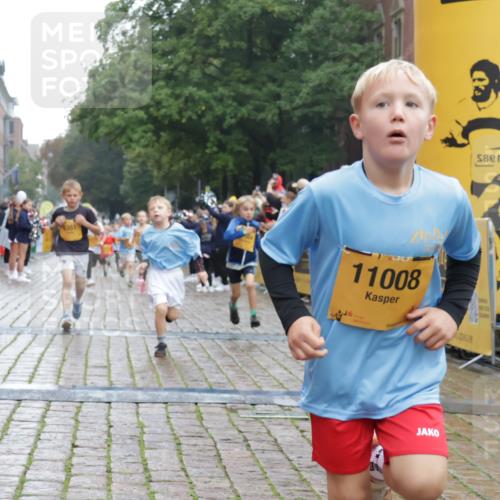 13.09.2026 - Kiel Lauf Yannick Fuchs http://msf.ph/oto/10271002 13.09.2026 08:33:45 Ziel 743, 1711, 3220, 8602, 8654, 8840, 9670, 11226, 11404, 6073, 6484, 6698, 7959, 10988, 1058, 1295, 1924, 2477, 2851, 4080, 4146, 4839, 6351, 7041, 9418, 10172, 11008, 11664 meine-sportfotos.de