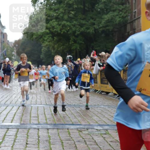 13.09.2026 - Kiel Lauf Yannick Fuchs http://msf.ph/oto/10271005 13.09.2026 08:33:46 Ziel 743, 1711, 3220, 4080, 8602, 8654, 8840, 9670, 11226, 11404, 6073, 6484, 6698, 7959, 10988, 1058, 1295, 1924, 2477, 2851, 4146, 4839, 6351, 7041, 7567, 8179, 9418, 10172, 11008, 11664 meine-sportfotos.de