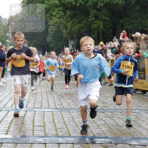 13.09.2026 - Kiel Lauf Yannick Fuchs http://msf.ph/oto/10271008 13.09.2026 08:33:46 Ziel 743, 1711, 3220, 4080, 8602, 8654, 8840, 9670, 11226, 11404, 6073, 6484, 6698, 7959, 10988, 1058, 1295, 1924, 2477, 2851, 4146, 4839, 6351, 7041, 7567, 8179, 9418, 10172, 11008, 11664 meine-sportfotos.de