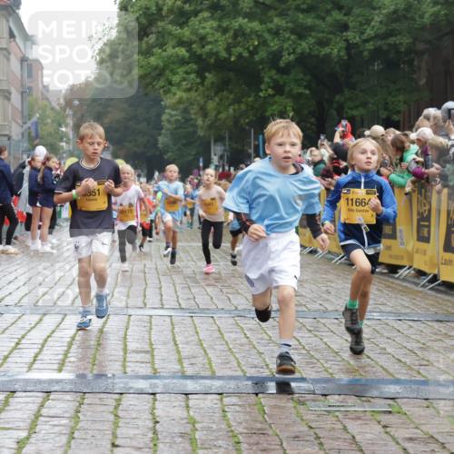 13.09.2026 - Kiel Lauf Yannick Fuchs http://msf.ph/oto/10271010 13.09.2026 08:33:46 Ziel 743, 1711, 3220, 4080, 8602, 8654, 8840, 9670, 11226, 11404, 6073, 6484, 6698, 7959, 10988, 1058, 1295, 1924, 2477, 2851, 4146, 4839, 6351, 7041, 7567, 8179, 9418, 10172, 11008, 11664 meine-sportfotos.de