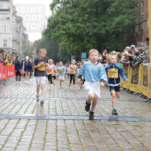 13.09.2026 - Kiel Lauf Yannick Fuchs http://msf.ph/oto/10271013 13.09.2026 08:33:46 Ziel 743, 1711, 3220, 4080, 8602, 8654, 8840, 9670, 11226, 11404, 6073, 6484, 6698, 7959, 10988, 1058, 1295, 1924, 2477, 2851, 4146, 4839, 6351, 7041, 7567, 8179, 9418, 10172, 11008, 11664 meine-sportfotos.de