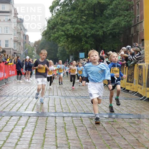 13.09.2026 - Kiel Lauf Yannick Fuchs http://msf.ph/oto/10271016 13.09.2026 08:33:47 Ziel 743, 1711, 3220, 4080, 8602, 8654, 8840, 9418, 9670, 11226, 11404, 6073, 6484, 6698, 7959, 10988, 1058, 1295, 1924, 2140, 2477, 2851, 4146, 4839, 5324, 6351, 6453, 7041, 7567, 8179, 8478, 10172, 11008, 11664 meine-sportfotos.de