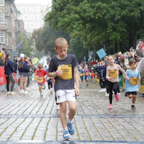 13.09.2026 - Kiel Lauf Yannick Fuchs http://msf.ph/oto/10271032 13.09.2026 08:33:48 Ziel 743, 1711, 2477, 3220, 4080, 8602, 8654, 8840, 9418, 9670, 11226, 11404, 6073, 6484, 6698, 7959, 10988, 1058, 1295, 1924, 2140, 2851, 4146, 4839, 5324, 6351, 6453, 7041, 7567, 8179, 8478, 10172, 11008, 11664 meine-sportfotos.de