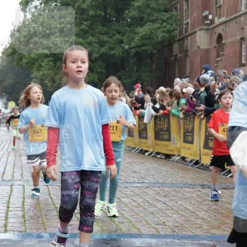 13.09.2026 - Kiel Lauf Yannick Fuchs http://msf.ph/oto/10271113 13.09.2026 08:34:01 Ziel 1058, 1295, 1924, 2477, 2851, 4080, 4146, 4839, 6351, 7041, 7567, 8179, 9418, 10172, 11008, 11664, 743, 1711, 3220, 4080, 6073, 6484, 6698, 7959, 8602, 8654, 8840, 9670, 11226, 11404, 657, 720, 1103, 2140, 2740, 2769, 4016, 4417, 4796, 5099, 5324, 6453, 7135, 8333, 8478, 9211, 9945, 10121, 10713, 10815, 11365, 11572, 12100, 12236, 12525, 6073, 6484, 10988 meine-sportfotos.de