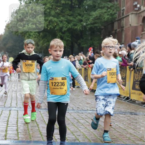 13.09.2026 - Kiel Lauf Yannick Fuchs http://msf.ph/oto/10271207 13.09.2026 08:34:06 Ziel 1058, 1103, 1295, 1924, 2140, 2851, 4146, 4839, 5324, 6351, 6453, 7041, 7567, 8179, 8478, 10121, 10172, 11365, 11572, 11664, 743, 1711, 2477, 3220, 4080, 6698, 7959, 8602, 8654, 8840, 9418, 9670, 11008, 11226, 11404, 138, 657, 720, 2740, 2769, 3023, 3118, 4016, 4417, 4796, 5099, 7135, 8226, 8333, 8930, 9211, 9945, 10158, 10446, 10713, 10815, 12100, 12236, 12525, 6073, 6484, 6698, 7959, 10988 meine-sportfotos.de