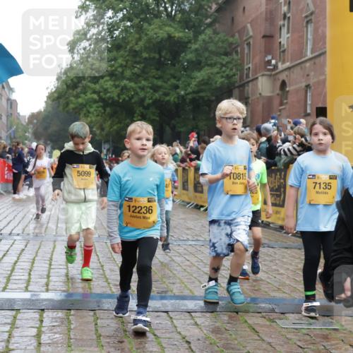 13.09.2026 - Kiel Lauf Yannick Fuchs http://msf.ph/oto/10271211 13.09.2026 08:34:06 Ziel 1058, 1103, 1295, 1924, 2140, 2851, 4146, 4839, 5324, 6351, 6453, 7041, 7567, 8179, 8478, 10121, 10172, 11365, 11572, 11664, 743, 1711, 2477, 3220, 4080, 6698, 7959, 8602, 8654, 8840, 9418, 9670, 11008, 11226, 11404, 138, 657, 720, 2740, 2769, 3023, 3118, 4016, 4417, 4796, 5099, 7135, 8226, 8333, 8930, 9211, 9945, 10158, 10446, 10713, 10815, 12100, 12236, 12525, 6073, 6484, 6698, 7959, 10988 meine-sportfotos.de