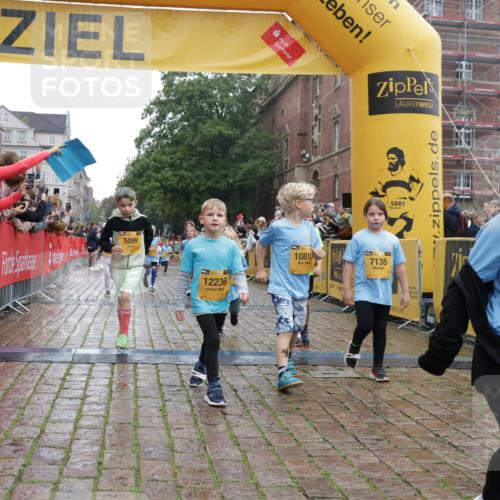 13.09.2026 - Kiel Lauf Yannick Fuchs http://msf.ph/oto/10271225 13.09.2026 08:34:07 Ziel 1058, 1103, 1295, 1924, 2140, 2851, 4146, 4839, 5324, 6351, 6453, 7041, 7567, 8179, 8478, 9211, 10121, 10172, 11365, 11572, 11664, 743, 1711, 2477, 3220, 4080, 6698, 7959, 8602, 8654, 8840, 9418, 9670, 11008, 11226, 11404, 138, 657, 720, 2740, 2769, 3023, 3118, 3277, 4016, 4417, 4796, 5099, 7042, 7135, 8226, 8333, 8930, 9047, 9945, 10158, 10446, 10713, 10815, 12100, 12236, 12525, 6073, 6484, 6698, 7959, 10988 meine-sportfotos.de