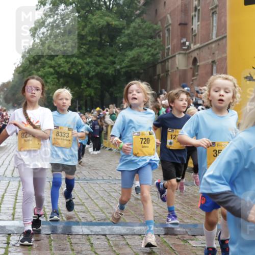 13.09.2026 - Kiel Lauf Yannick Fuchs http://msf.ph/oto/10271264 13.09.2026 08:34:09 Ziel 657, 1058, 1103, 1295, 1924, 2140, 2769, 2851, 4146, 4796, 4839, 5324, 6453, 7041, 7567, 8179, 8478, 9211, 9945, 10121, 10172, 11365, 11572, 743, 1711, 2477, 3220, 4080, 6351, 8602, 8654, 8840, 9418, 9670, 11008, 11226, 11404, 11664, 126, 138, 720, 2740, 3023, 3118, 3277, 4016, 4417, 4584, 5099, 7042, 7135, 8226, 8333, 8930, 9047, 10158, 10446, 10713, 10815, 12100, 12236, 12525, 6073, 6484, 6698, 7959 meine-sportfotos.de