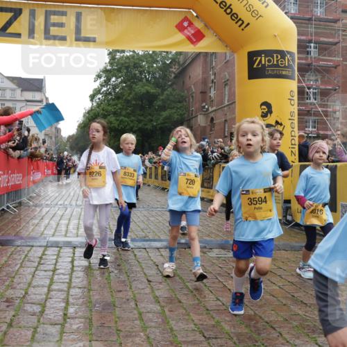 13.09.2026 - Kiel Lauf Yannick Fuchs http://msf.ph/oto/10271285 13.09.2026 08:34:10 Ziel 657, 1058, 1103, 1295, 1924, 2140, 2769, 2851, 4146, 4796, 4839, 5324, 6453, 7041, 7135, 7567, 8179, 8478, 9211, 9945, 10121, 10172, 10713, 11365, 11572, 12236, 743, 1711, 2477, 3220, 4080, 6351, 8602, 8654, 8840, 9418, 9670, 11008, 11226, 11404, 11664, 126, 138, 720, 1623, 2740, 3023, 3118, 3277, 3380, 4016, 4417, 4584, 5099, 6111, 7042, 8226, 8333, 8930, 9047, 10158, 10446, 10815, 12100, 12525, 6073, 6484, 6698, 7959 meine-sportfotos.de