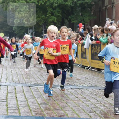 13.09.2026 - Kiel Lauf Yannick Fuchs http://msf.ph/oto/10271334 13.09.2026 08:34:13 Ziel 657, 1103, 1924, 2140, 2769, 2851, 4146, 4417, 4796, 4839, 5099, 5324, 6453, 7135, 7567, 8179, 8478, 9211, 9945, 10121, 10713, 10815, 11365, 11572, 12236, 12525, 743, 1058, 1295, 1711, 2477, 2851, 3220, 4080, 4146, 6351, 7041, 8602, 8654, 8840, 9418, 9670, 10172, 11008, 11226, 11404, 11664, 126, 138, 720, 1623, 1624, 2612, 2740, 3023, 3118, 3277, 3380, 4016, 4584, 6111, 7042, 8226, 8333, 8930, 9047, 10158, 10446, 12100, 6698, 7959 meine-sportfotos.de