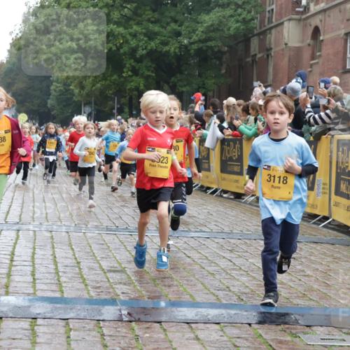 13.09.2026 - Kiel Lauf Yannick Fuchs http://msf.ph/oto/10271344 13.09.2026 08:34:13 Ziel 657, 1103, 1924, 2140, 2769, 2851, 4146, 4417, 4796, 4839, 5099, 5324, 6453, 7135, 7567, 8179, 8478, 9211, 9945, 10121, 10713, 10815, 11365, 11572, 12236, 12525, 743, 1058, 1295, 1711, 2477, 2851, 3220, 4080, 4146, 6351, 7041, 8602, 8654, 8840, 9418, 9670, 10172, 11008, 11226, 11404, 11664, 126, 138, 720, 1623, 1624, 2612, 2740, 3023, 3118, 3277, 3380, 4016, 4584, 6111, 7042, 8226, 8333, 8930, 9047, 10158, 10446, 12100, 6698, 7959 meine-sportfotos.de