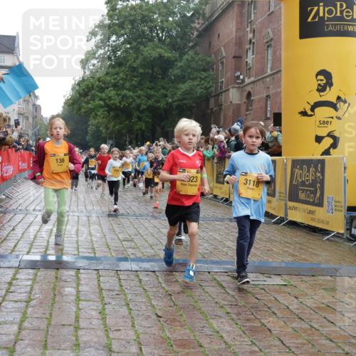 13.09.2026 - Kiel Lauf Yannick Fuchs http://msf.ph/oto/10271364 13.09.2026 08:34:14 Ziel 657, 1103, 1924, 2140, 2769, 4417, 4796, 4839, 5099, 5324, 6453, 7135, 7567, 8179, 8478, 9211, 9945, 10121, 10713, 10815, 11365, 11572, 12236, 12525, 743, 1058, 1295, 1711, 2477, 2851, 3220, 4080, 4146, 4839, 6351, 7041, 8602, 8654, 8840, 9418, 9670, 10172, 11008, 11226, 11404, 11664, 126, 138, 720, 1623, 1624, 2612, 2740, 3023, 3118, 3277, 3380, 4016, 4584, 6111, 7042, 8226, 8333, 8930, 9047, 10158, 10446, 12100, 6698, 7959 meine-sportfotos.de