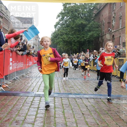 13.09.2026 - Kiel Lauf Yannick Fuchs http://msf.ph/oto/10271378 13.09.2026 08:34:15 Ziel 657, 720, 1103, 1924, 2140, 2769, 4016, 4417, 4796, 5099, 5324, 6453, 7135, 7567, 8179, 8333, 8478, 9211, 9945, 10121, 10713, 10815, 11365, 11572, 12236, 12525, 743, 1058, 1295, 1711, 1924, 2477, 2851, 3220, 4080, 4146, 4839, 6351, 7041, 8602, 8654, 8840, 9418, 9670, 10172, 11008, 11226, 11404, 11664, 126, 138, 1623, 1624, 2612, 2740, 3023, 3118, 3277, 3380, 4584, 6111, 7042, 8226, 8930, 9047, 10158, 10446, 12100, 7959 meine-sportfotos.de