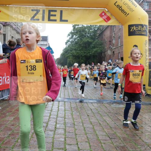 13.09.2026 - Kiel Lauf Yannick Fuchs http://msf.ph/oto/10271397 13.09.2026 08:34:16 Ziel 657, 720, 1103, 2140, 2740, 2769, 4016, 4417, 4796, 5099, 5324, 6453, 7135, 7567, 8179, 8333, 8478, 9211, 9945, 10121, 10713, 10815, 11365, 11572, 12100, 12236, 12525, 743, 1058, 1295, 1711, 1924, 2477, 2851, 3220, 4080, 4146, 4839, 6351, 7041, 7567, 8179, 8602, 8654, 8840, 9418, 9670, 10172, 11008, 11226, 11404, 11664, 126, 138, 1623, 1624, 2612, 3023, 3058, 3118, 3277, 3380, 4584, 5897, 6111, 7042, 8226, 8930, 9047, 10158, 10446 meine-sportfotos.de