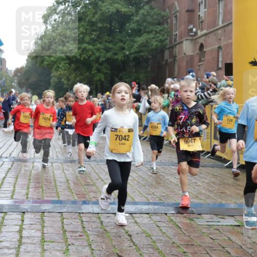 13.09.2026 - Kiel Lauf Yannick Fuchs http://msf.ph/oto/10271402 13.09.2026 08:34:17 Ziel 657, 720, 1103, 2140, 2740, 2769, 4016, 4417, 4796, 5099, 5324, 6453, 7135, 8226, 8333, 8478, 9211, 9945, 10121, 10446, 10713, 10815, 11365, 11572, 12100, 12236, 12525, 743, 1058, 1295, 1924, 2140, 2477, 2851, 3220, 4080, 4146, 4839, 5324, 6351, 6453, 7041, 7567, 8179, 8478, 8602, 8654, 8840, 9418, 9670, 10172, 11008, 11226, 11664, 126, 138, 1623, 1624, 2108, 2612, 3023, 3058, 3118, 3277, 3380, 4584, 5897, 6111, 7042, 8930, 9047, 10158 meine-sportfotos.de