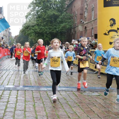 13.09.2026 - Kiel Lauf Yannick Fuchs http://msf.ph/oto/10271408 13.09.2026 08:34:17 Ziel 657, 720, 1103, 2140, 2740, 2769, 4016, 4417, 4796, 5099, 5324, 6453, 7135, 8226, 8333, 8478, 9211, 9945, 10121, 10446, 10713, 10815, 11365, 11572, 12100, 12236, 12525, 743, 1058, 1295, 1924, 2140, 2477, 2851, 3220, 4080, 4146, 4839, 5324, 6351, 6453, 7041, 7567, 8179, 8478, 8602, 8654, 8840, 9418, 9670, 10172, 11008, 11226, 11664, 126, 138, 1623, 1624, 2108, 2612, 3023, 3058, 3118, 3277, 3380, 4584, 5897, 6111, 7042, 8930, 9047, 10158 meine-sportfotos.de