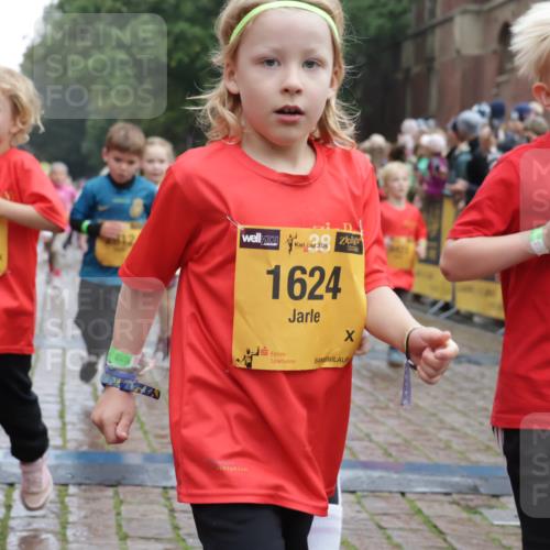 13.09.2026 - Kiel Lauf Yannick Fuchs http://msf.ph/oto/10271432 13.09.2026 08:34:19 Ziel 657, 720, 1103, 2740, 2769, 3118, 4016, 4417, 4796, 5099, 7135, 8226, 8333, 9211, 9945, 10121, 10158, 10446, 10713, 10815, 11365, 11572, 12100, 12236, 12525, 743, 1058, 1103, 1295, 1924, 2140, 2477, 2851, 3220, 4080, 4146, 4839, 5324, 6351, 6453, 7041, 7567, 8179, 8478, 8602, 8654, 8840, 9418, 9670, 10172, 11008, 11226, 11365, 11572, 11664, 126, 138, 831, 1623, 1624, 2108, 2612, 3023, 3058, 3277, 3380, 3953, 4584, 5897, 6111, 7042, 8930, 9047 meine-sportfotos.de