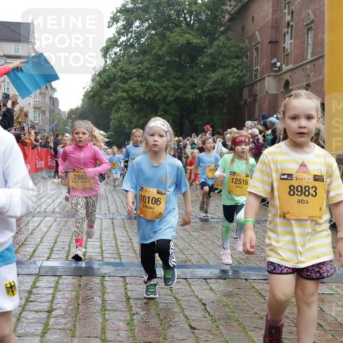 13.09.2026 - Kiel Lauf Yannick Fuchs http://msf.ph/oto/10271494 13.09.2026 08:34:23 Ziel 138, 657, 720, 2740, 2769, 3023, 3118, 3277, 4016, 4417, 4796, 5099, 7042, 7135, 8226, 8333, 8930, 9047, 9945, 10158, 10446, 10713, 10815, 12100, 12236, 12525, 657, 743, 1058, 1103, 1295, 1924, 2140, 2477, 2769, 2851, 4080, 4146, 4796, 4839, 5324, 6351, 6453, 7041, 7567, 8179, 8478, 8602, 8840, 9211, 9418, 9670, 9945, 10121, 10172, 11008, 11226, 11365, 11572, 11664, 126, 831, 1623, 1624, 2108, 2276, 2612, 2622, 2641, 3058, 3380, 3953, 4584, 5022, 5625, 5897, 6111, 6369 meine-sportfotos.de