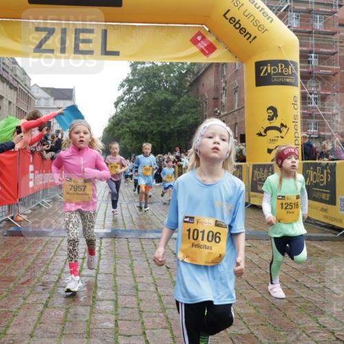 13.09.2026 - Kiel Lauf Yannick Fuchs http://msf.ph/oto/10271520 13.09.2026 08:34:24 Ziel 126, 138, 720, 2740, 3023, 3118, 3277, 4016, 4417, 4584, 5099, 7042, 7135, 8226, 8333, 8930, 9047, 10158, 10381, 10446, 10713, 10815, 12100, 12236, 12525, 657, 743, 1058, 1103, 1295, 1924, 2140, 2477, 2769, 2851, 4080, 4146, 4796, 4839, 5324, 6351, 6453, 7041, 7567, 8179, 8478, 9211, 9418, 9670, 9945, 10121, 10172, 11008, 11226, 11365, 11572, 11664, 831, 1623, 1624, 2108, 2276, 2612, 2622, 2641, 3058, 3380, 3953, 5022, 5625, 5897, 6111, 6369 meine-sportfotos.de