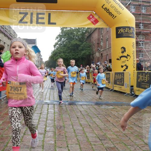 13.09.2026 - Kiel Lauf Yannick Fuchs http://msf.ph/oto/10271543 13.09.2026 08:34:25 Ziel 126, 138, 720, 1623, 2740, 3023, 3118, 3277, 3380, 4016, 4417, 4584, 5099, 6111, 7042, 7135, 8226, 8333, 8930, 9047, 10158, 10381, 10446, 10713, 10815, 10923, 12100, 12236, 12525, 657, 1058, 1103, 1295, 1924, 2140, 2477, 2769, 2851, 4080, 4146, 4796, 4839, 5324, 6351, 6453, 7041, 7135, 7567, 8179, 8478, 9211, 9418, 9670, 9945, 10121, 10172, 10713, 11008, 11226, 11365, 11572, 11664, 831, 1104, 1624, 2108, 2276, 2612, 2622, 2641, 3058, 3953, 5022, 5579, 5625, 5897, 6369 meine-sportfotos.de