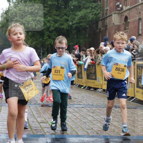 13.09.2026 - Kiel Lauf Yannick Fuchs http://msf.ph/oto/10271592 13.09.2026 08:34:27 Ziel 126, 138, 720, 1623, 1624, 2612, 2740, 3023, 3118, 3277, 3380, 4016, 4417, 4584, 5099, 6111, 7042, 7408, 8226, 8333, 8423, 8930, 8983, 9047, 10158, 10180, 10381, 10446, 10923, 12100, 12525, 657, 1058, 1103, 1295, 1924, 2140, 2477, 2769, 2851, 4146, 4796, 4839, 5324, 6351, 6453, 7041, 7135, 7567, 8179, 8478, 9211, 9418, 9945, 10121, 10172, 10713, 10815, 11008, 11365, 11572, 11664, 831, 1104, 2108, 2276, 2622, 2641, 3058, 3953, 5022, 5579, 5625, 5897, 6369 meine-sportfotos.de