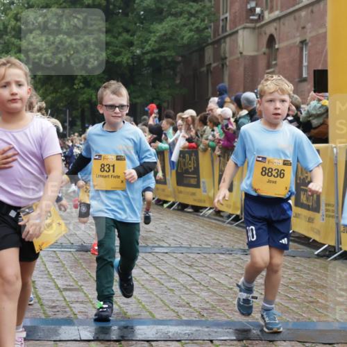 13.09.2026 - Kiel Lauf Yannick Fuchs http://msf.ph/oto/10271598 13.09.2026 08:34:27 Ziel 126, 138, 720, 1623, 1624, 2612, 2740, 3023, 3118, 3277, 3380, 4016, 4417, 4584, 5099, 6111, 7042, 7408, 8226, 8333, 8423, 8930, 8983, 9047, 10158, 10180, 10381, 10446, 10923, 12100, 12525, 657, 1058, 1103, 1295, 1924, 2140, 2477, 2769, 2851, 4146, 4796, 4839, 5324, 6351, 6453, 7041, 7135, 7567, 8179, 8478, 9211, 9418, 9945, 10121, 10172, 10713, 10815, 11008, 11365, 11572, 11664, 831, 1104, 2108, 2276, 2622, 2641, 3058, 3953, 5022, 5579, 5625, 5897, 6369 meine-sportfotos.de