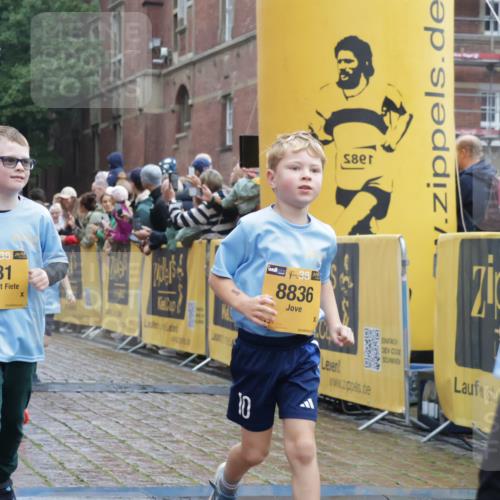 13.09.2026 - Kiel Lauf Yannick Fuchs http://msf.ph/oto/10271603 13.09.2026 08:34:28 Ziel 126, 138, 720, 1623, 1624, 2612, 2740, 3023, 3118, 3277, 3380, 4016, 4417, 4584, 5099, 6111, 7042, 7408, 8226, 8333, 8423, 8930, 8983, 9047, 10106, 10158, 10180, 10381, 10446, 10923, 12100, 12525, 657, 1058, 1103, 1295, 1924, 2140, 2477, 2769, 2851, 4146, 4417, 4796, 4839, 5099, 5324, 6351, 6453, 7041, 7135, 7567, 8179, 8478, 9211, 9945, 10121, 10172, 10713, 10815, 11008, 11365, 11572, 11664, 831, 1104, 2108, 2276, 2622, 2641, 3058, 3953, 5022, 5579, 5625, 5897, 6369 meine-sportfotos.de