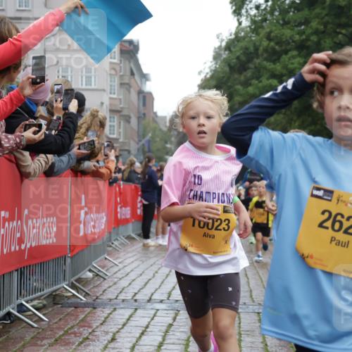 13.09.2026 - Kiel Lauf Yannick Fuchs http://msf.ph/oto/10271626 13.09.2026 08:34:30 Ziel 126, 138, 720, 1623, 1624, 2612, 2740, 3023, 3118, 3277, 3380, 4016, 4584, 6111, 7042, 7408, 7957, 8226, 8333, 8423, 8930, 8983, 9047, 10106, 10158, 10180, 10381, 10446, 10923, 12100, 12516, 657, 720, 1058, 1103, 1295, 1924, 2140, 2769, 2851, 4016, 4146, 4417, 4796, 4839, 5099, 5324, 6351, 6453, 7041, 7135, 7567, 8179, 8333, 8478, 9211, 9945, 10121, 10172, 10713, 10815, 11008, 11365, 11572, 11664, 831, 1104, 2108, 2276, 2622, 2641, 3058, 3953, 5022, 5579, 5625, 5897, 6369 meine-sportfotos.de