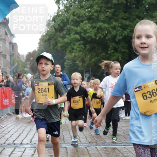 13.09.2026 - Kiel Lauf Yannick Fuchs http://msf.ph/oto/10271669 13.09.2026 08:34:32 Ziel 126, 138, 1623, 1624, 2108, 2612, 3023, 3058, 3118, 3277, 3380, 4584, 5897, 6111, 7042, 7408, 7957, 8226, 8423, 8930, 8983, 9047, 9758, 9765, 10106, 10158, 10180, 10381, 10446, 10923, 12516, 657, 720, 1058, 1103, 1295, 1924, 2140, 2740, 2769, 2851, 4016, 4146, 4417, 4796, 4839, 5099, 5324, 6351, 6453, 7041, 7135, 7567, 8179, 8226, 8333, 8478, 9211, 9945, 10121, 10172, 10713, 10815, 11365, 11572, 11664, 12100, 831, 1104, 2276, 2622, 2641, 3953, 5022, 5579, 5625, 6369 meine-sportfotos.de