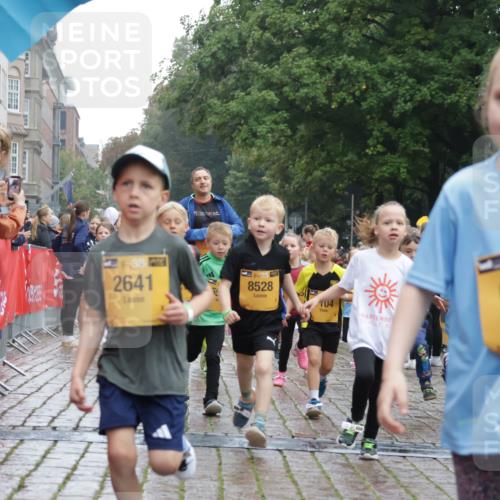 13.09.2026 - Kiel Lauf Yannick Fuchs http://msf.ph/oto/10271677 13.09.2026 08:34:32 Ziel 126, 138, 1623, 1624, 2108, 2612, 3023, 3058, 3118, 3277, 3380, 4584, 5897, 6111, 7042, 7408, 7957, 8226, 8423, 8930, 8983, 9047, 9758, 9765, 10106, 10158, 10180, 10381, 10446, 10923, 12516, 657, 720, 1058, 1103, 1295, 1924, 2140, 2740, 2769, 2851, 4016, 4146, 4417, 4796, 4839, 5099, 5324, 6351, 6453, 7041, 7135, 7567, 8179, 8226, 8333, 8478, 9211, 9945, 10121, 10172, 10713, 10815, 11365, 11572, 11664, 12100, 831, 1104, 2276, 2622, 2641, 3953, 5022, 5579, 5625, 6369 meine-sportfotos.de