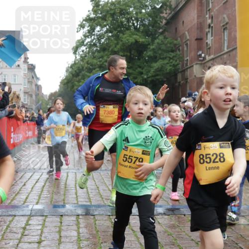 13.09.2026 - Kiel Lauf Yannick Fuchs http://msf.ph/oto/10271756 13.09.2026 08:34:36 Ziel 126, 138, 831, 1623, 1624, 2108, 2276, 2612, 2622, 3058, 3277, 3380, 3953, 4584, 5625, 5897, 6111, 6369, 7042, 7408, 7957, 8423, 8836, 8930, 8983, 9047, 9167, 9758, 9765, 10106, 10180, 10381, 10923, 11457, 12516, 12549, 138, 657, 720, 1058, 1103, 1295, 1924, 2140, 2740, 2769, 2851, 3023, 3118, 4016, 4146, 4417, 4796, 4839, 5099, 5324, 6453, 7041, 7135, 7567, 8179, 8226, 8333, 8478, 8930, 9211, 9945, 10121, 10172, 10713, 10815, 11365, 11572, 12100, 1104, 2641, 5022, 5579 meine-sportfotos.de