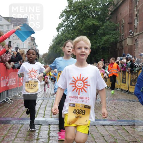13.09.2026 - Kiel Lauf Yannick Fuchs http://msf.ph/oto/10271792 13.09.2026 08:34:38 Ziel 126, 831, 1623, 1624, 2108, 2276, 2612, 2622, 2641, 3058, 3380, 3953, 4584, 5022, 5625, 5897, 6111, 6369, 7408, 7957, 8423, 8836, 8983, 9167, 9179, 9758, 9765, 9881, 10023, 10106, 10180, 10381, 10923, 11457, 12516, 12549, 138, 657, 720, 1103, 1924, 2140, 2740, 2769, 2851, 3023, 3118, 3277, 4016, 4146, 4417, 4796, 4839, 5099, 5324, 6453, 7042, 7135, 7567, 8179, 8226, 8333, 8478, 8930, 9047, 9211, 9945, 10121, 10713, 10815, 11365, 11572, 12100, 1104, 5579 meine-sportfotos.de