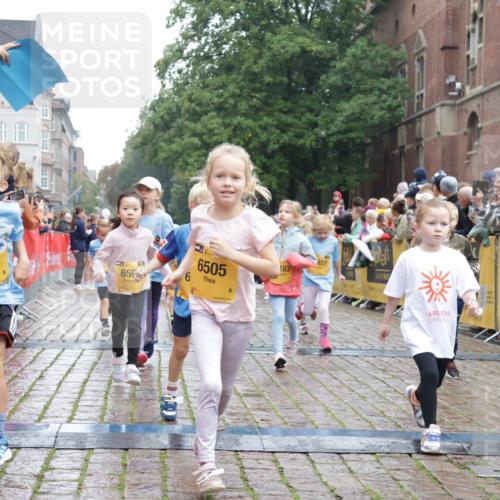 13.09.2026 - Kiel Lauf Yannick Fuchs http://msf.ph/oto/10271906 13.09.2026 08:34:43 Ziel 831, 1104, 1105, 2108, 2276, 2622, 2641, 3058, 3953, 4989, 5022, 5579, 5625, 5897, 5922, 6335, 6369, 7348, 7382, 7957, 8528, 8836, 9167, 9179, 9758, 9765, 9881, 10023, 10106, 11150, 11158, 11457, 12352, 12516, 12549, 126, 138, 657, 720, 1103, 1623, 1624, 2612, 2740, 2769, 3023, 3118, 3277, 3380, 4016, 4417, 4584, 4796, 5099, 6111, 7042, 7135, 7408, 8226, 8333, 8423, 8930, 8983, 9047, 9211, 9945, 10121, 10713, 10815, 11365, 11572, 12100, 1103, 10121 meine-sportfotos.de
