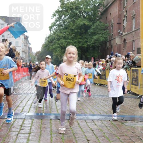 13.09.2026 - Kiel Lauf Yannick Fuchs http://msf.ph/oto/10271914 13.09.2026 08:34:43 Ziel 831, 1104, 1105, 2108, 2276, 2622, 2641, 3058, 3953, 4989, 5022, 5579, 5625, 5897, 5922, 6335, 6369, 7348, 7382, 7957, 8528, 8836, 9167, 9179, 9758, 9765, 9881, 10023, 10106, 11150, 11158, 11457, 12352, 12516, 12549, 126, 138, 657, 720, 1103, 1623, 1624, 2612, 2740, 2769, 3023, 3118, 3277, 3380, 4016, 4417, 4584, 4796, 5099, 6111, 7042, 7135, 7408, 8226, 8333, 8423, 8930, 8983, 9047, 9211, 9945, 10121, 10713, 10815, 11365, 11572, 12100, 1103, 10121 meine-sportfotos.de