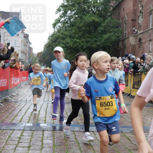 13.09.2026 - Kiel Lauf Yannick Fuchs http://msf.ph/oto/10271949 13.09.2026 08:34:45 Ziel 831, 1104, 1105, 2108, 2276, 2622, 2641, 3058, 3953, 4989, 5022, 5579, 5625, 5897, 5922, 6335, 6369, 7348, 7382, 8339, 8358, 8499, 8528, 8836, 9167, 9179, 9758, 9765, 9881, 10023, 11150, 11158, 11457, 12141, 12352, 12549, 126, 138, 657, 720, 1623, 1624, 2612, 2740, 2769, 3023, 3118, 3277, 3380, 4016, 4417, 4584, 4796, 5099, 6111, 7042, 7135, 7408, 7957, 8226, 8333, 8423, 8930, 8983, 9047, 9211, 9945, 10121, 10713, 10815, 12100, 1103, 9211, 10121 meine-sportfotos.de