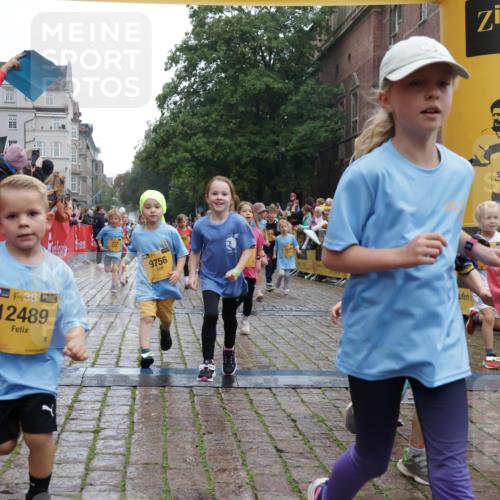 13.09.2026 - Kiel Lauf Yannick Fuchs http://msf.ph/oto/10272002 13.09.2026 08:34:46 Ziel 831, 1104, 1105, 2108, 2276, 2622, 2641, 3058, 3953, 4989, 5022, 5579, 5625, 5897, 5922, 6335, 6369, 7348, 7382, 8339, 8358, 8499, 8528, 8836, 9167, 9179, 9758, 9765, 9881, 10023, 11150, 11158, 11457, 12141, 12352, 12538, 12549, 126, 138, 657, 720, 1623, 1624, 2612, 2740, 2769, 3023, 3058, 3118, 3277, 3380, 4016, 4417, 4584, 4796, 5099, 5897, 6111, 7042, 7135, 7408, 7957, 8226, 8333, 8423, 8930, 8983, 9047, 9211, 9945, 10713, 10815, 12100, 1103, 9211, 10121 meine-sportfotos.de