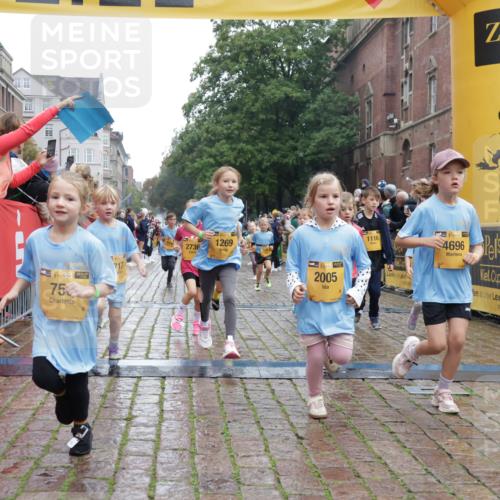 13.09.2026 - Kiel Lauf Yannick Fuchs http://msf.ph/oto/10272091 13.09.2026 08:34:49 Ziel 530, 1104, 1105, 1918, 2276, 2622, 2641, 4989, 5022, 5042, 5579, 5625, 5922, 6335, 6369, 6505, 7348, 7382, 8339, 8358, 8499, 8528, 9167, 9179, 9881, 10023, 11110, 11150, 11158, 11457, 12141, 12352, 12538, 12549, 126, 138, 720, 831, 1623, 1624, 2108, 2612, 2740, 3023, 3058, 3118, 3277, 3380, 3953, 4016, 4417, 4584, 5099, 5897, 6111, 7042, 7135, 7408, 7957, 8226, 8333, 8423, 8836, 8930, 8983, 9047, 10713, 10815, 12100, 1103, 9211, 10121 meine-sportfotos.de