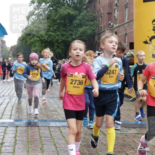 13.09.2026 - Kiel Lauf Yannick Fuchs http://msf.ph/oto/10272147 13.09.2026 08:34:51 Ziel 530, 729, 1104, 1105, 1918, 2641, 4989, 5022, 5042, 5579, 5625, 5922, 6335, 6369, 6505, 6595, 7348, 7382, 8339, 8358, 8499, 8528, 8971, 9179, 9881, 10023, 10857, 11110, 11150, 11158, 11183, 12033, 12141, 12352, 12538, 12549, 126, 138, 720, 831, 1623, 1624, 2108, 2276, 2612, 2622, 2740, 3023, 3058, 3118, 3277, 3380, 3953, 4016, 4417, 4584, 5099, 5625, 5897, 6111, 6369, 7042, 7408, 7957, 8226, 8333, 8423, 8836, 8930, 8983, 9047, 10815, 12100, 1103, 9211, 10121 meine-sportfotos.de