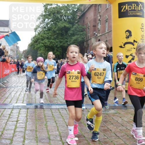 13.09.2026 - Kiel Lauf Yannick Fuchs http://msf.ph/oto/10272154 13.09.2026 08:34:52 Ziel 530, 729, 1010, 1104, 1105, 1918, 2641, 4989, 5022, 5042, 5579, 5922, 6335, 6503, 6505, 6595, 7348, 7382, 8339, 8358, 8499, 8528, 8971, 9179, 9686, 9881, 10023, 10857, 11110, 11150, 11158, 11183, 12033, 12141, 12352, 12489, 12538, 126, 138, 720, 831, 1623, 1624, 2108, 2276, 2612, 2622, 2740, 3023, 3058, 3118, 3277, 3380, 3953, 4016, 4417, 4584, 5022, 5099, 5625, 5897, 6111, 6369, 7042, 7408, 7957, 8226, 8333, 8423, 8836, 8930, 8983, 9047, 12100, 9211, 10121 meine-sportfotos.de