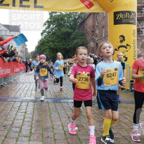 13.09.2026 - Kiel Lauf Yannick Fuchs http://msf.ph/oto/10272164 13.09.2026 08:34:52 Ziel 530, 729, 1010, 1104, 1105, 1918, 2641, 4989, 5022, 5042, 5579, 5922, 6335, 6503, 6505, 6595, 7348, 7382, 8339, 8358, 8499, 8528, 8971, 9179, 9686, 9881, 10023, 10857, 11110, 11150, 11158, 11183, 12033, 12141, 12352, 12489, 12538, 126, 138, 720, 831, 1623, 1624, 2108, 2276, 2612, 2622, 2740, 3023, 3058, 3118, 3277, 3380, 3953, 4016, 4417, 4584, 5022, 5099, 5625, 5897, 6111, 6369, 7042, 7408, 7957, 8226, 8333, 8423, 8836, 8930, 8983, 9047, 12100, 9211, 10121 meine-sportfotos.de