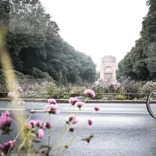 13.09.2026 - Stadtparktriathlon H.Heesch http://msf.ph/oto/10272256 13.09.2026 10:37:23 Radfahren 372, 377, 394, 419, 433, 452, 460, 499, 544, 582 meine-sportfotos.de