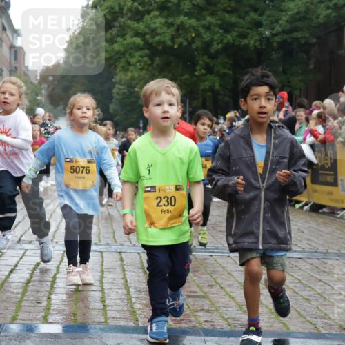 13.09.2026 - Kiel Lauf Yannick Fuchs http://msf.ph/oto/10272259 13.09.2026 08:34:56 Ziel 530, 717, 729, 756, 809, 1010, 1105, 1116, 1269, 1918, 2005, 2643, 2736, 4696, 4989, 5042, 5416, 5922, 6247, 6335, 6503, 6505, 6595, 8339, 8358, 8499, 8509, 8971, 9686, 9756, 10857, 11110, 11158, 11183, 12033, 12141, 12352, 12400, 12489, 12538, 126, 138, 831, 1104, 1623, 1624, 2108, 2276, 2612, 2622, 2641, 2740, 3023, 3058, 3118, 3277, 3380, 3953, 4584, 5022, 5579, 5625, 5897, 5922, 6111, 6369, 7042, 7348, 7408, 7957, 8226, 8423, 8836, 8930, 8983, 9047, 12100 meine-sportfotos.de