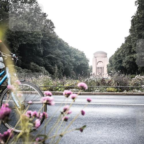 13.09.2026 - Stadtparktriathlon H.Heesch http://msf.ph/oto/10272305 13.09.2026 10:37:48 Radfahren 278, 381, 420, 491 meine-sportfotos.de