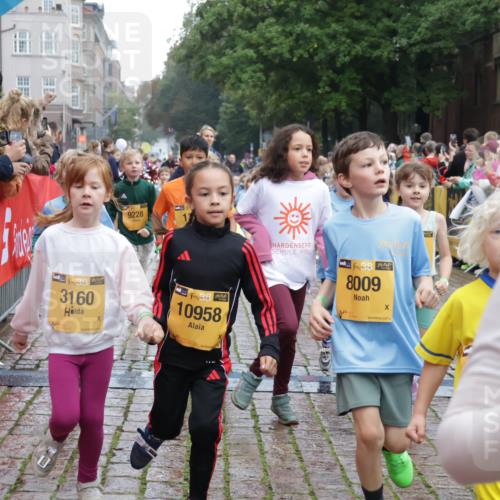 13.09.2026 - Kiel Lauf Yannick Fuchs http://msf.ph/oto/10272438 13.09.2026 08:35:15 Ziel 192, 230, 242, 782, 1148, 1764, 2071, 2495, 2715, 2987, 4695, 5066, 5076, 5091, 5581, 5607, 6037, 6195, 6444, 6448, 6617, 6708, 6785, 6910, 7074, 7083, 7126, 7133, 7421, 7882, 7885, 8109, 8336, 8369, 8451, 8800, 8984, 9159, 9262, 9888, 9927, 10588, 11070, 530, 717, 729, 756, 809, 1010, 1104, 1105, 1116, 1269, 1918, 2005, 2276, 2622, 2641, 2643, 2736, 2774, 2917, 4696, 4989, 5022, 5042, 5066, 5416, 5579, 5625, 5922, 6335, 6369, 6503, 6505, 6595, 7348 meine-sportfotos.de