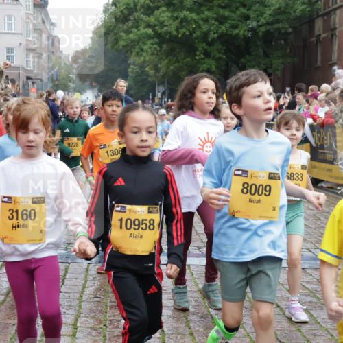 13.09.2026 - Kiel Lauf Yannick Fuchs http://msf.ph/oto/10272451 13.09.2026 08:35:16 Ziel 192, 230, 242, 782, 1148, 1764, 2071, 2495, 2582, 2715, 2987, 4418, 4695, 4990, 5076, 5091, 5581, 5607, 5880, 6037, 6195, 6444, 6448, 6617, 6708, 6785, 6910, 7074, 7083, 7126, 7133, 7421, 7882, 7885, 8109, 8336, 8369, 8451, 8800, 8984, 9159, 9262, 9888, 9927, 10081, 10588, 11070, 230, 530, 717, 729, 756, 809, 1010, 1104, 1105, 1116, 1269, 1918, 2005, 2641, 2643, 2736, 2774, 2917, 2987, 4696, 4989, 5022, 5042, 5066, 5416, 5579, 5625, 5922, 6335, 6369, 6503, 6505, 6595, 7348 meine-sportfotos.de