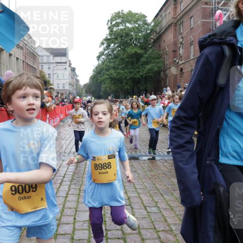 13.09.2026 - Kiel Lauf Yannick Fuchs http://msf.ph/oto/10272519 13.09.2026 08:35:21 Ziel 192, 242, 434, 782, 865, 1148, 1691, 2207, 2495, 2582, 2652, 2715, 4381, 4418, 4695, 4990, 5581, 5583, 5607, 5880, 6037, 6195, 6444, 6617, 6708, 6785, 6910, 7083, 7126, 7133, 7882, 8336, 8369, 8451, 8800, 8984, 9159, 9262, 9888, 9927, 9950, 10081, 10588, 11070, 11307, 230, 530, 717, 729, 756, 809, 1010, 1105, 1116, 1269, 1764, 1918, 2005, 2071, 2643, 2736, 2774, 2917, 2987, 4696, 4989, 5042, 5066, 5076, 5091, 5416, 5922, 6335, 6503, 6505, 6595, 165 meine-sportfotos.de